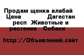 Продам щенка алабай › Цена ­ 20 000 - Дагестан респ. Животные и растения » Собаки   